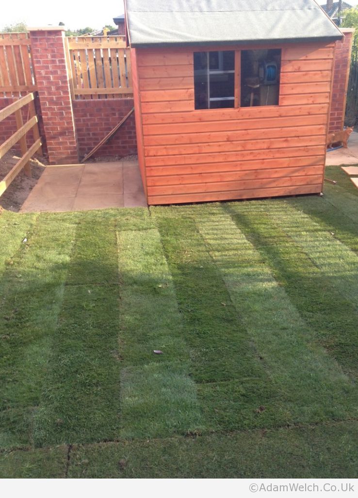 It’s not ready for football, bowls or tennis - but we finally have grass in our garden!