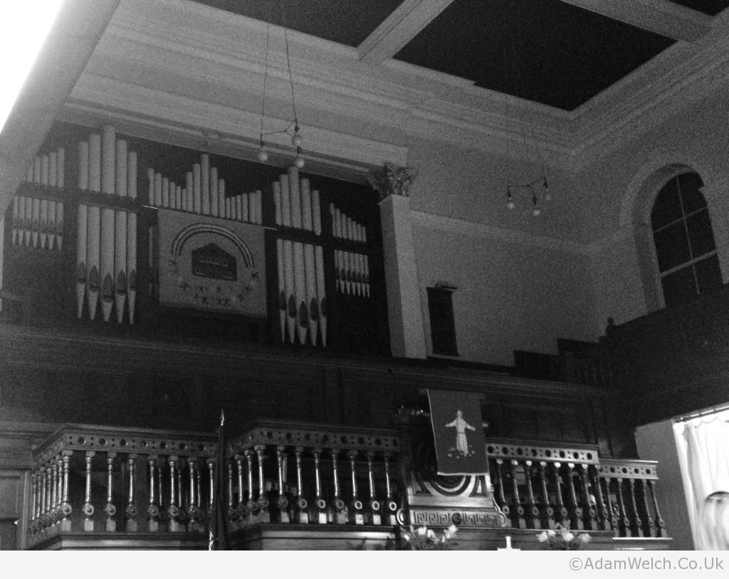 Organ.