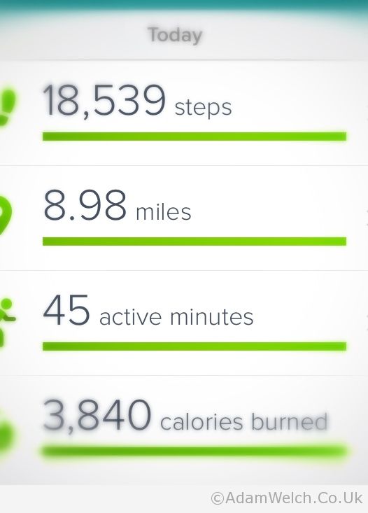 My #Fitbit has had quite a day. Actually so have I.