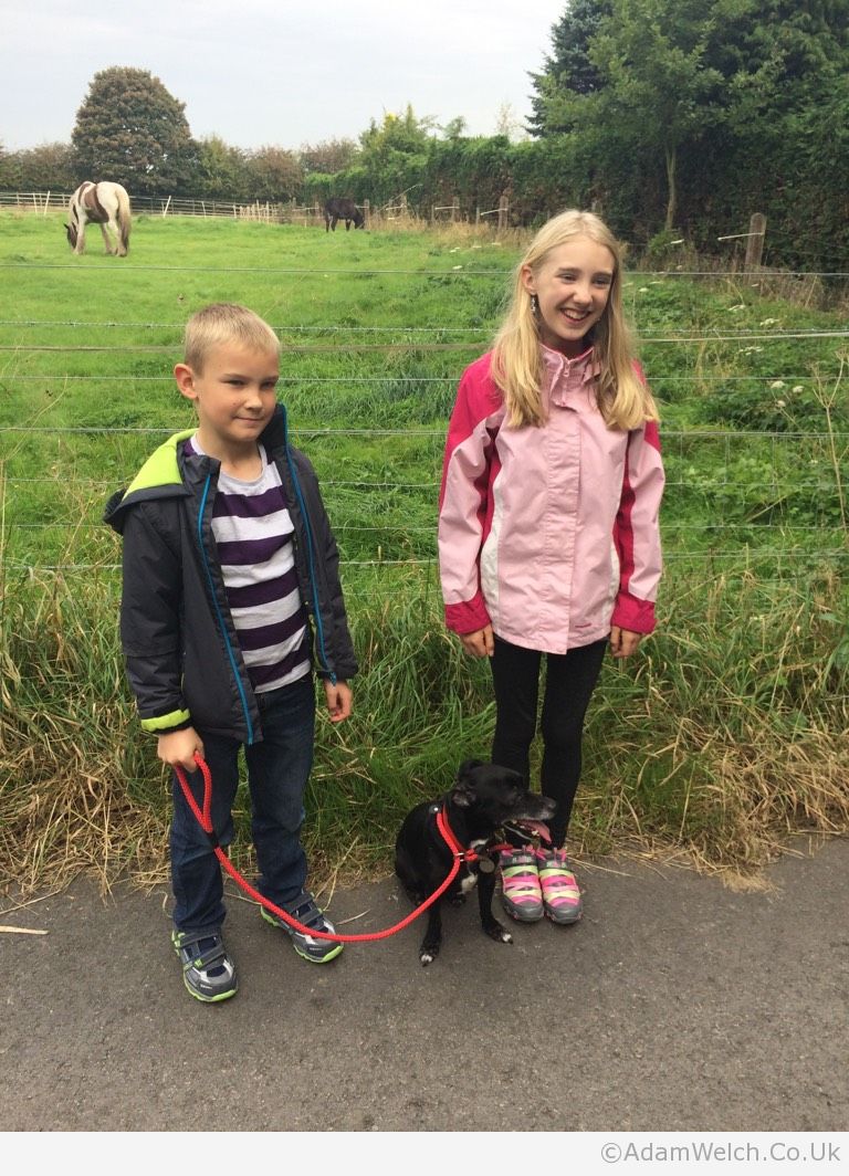 Kids enjoying a morning walk with borrowed dog Jet.