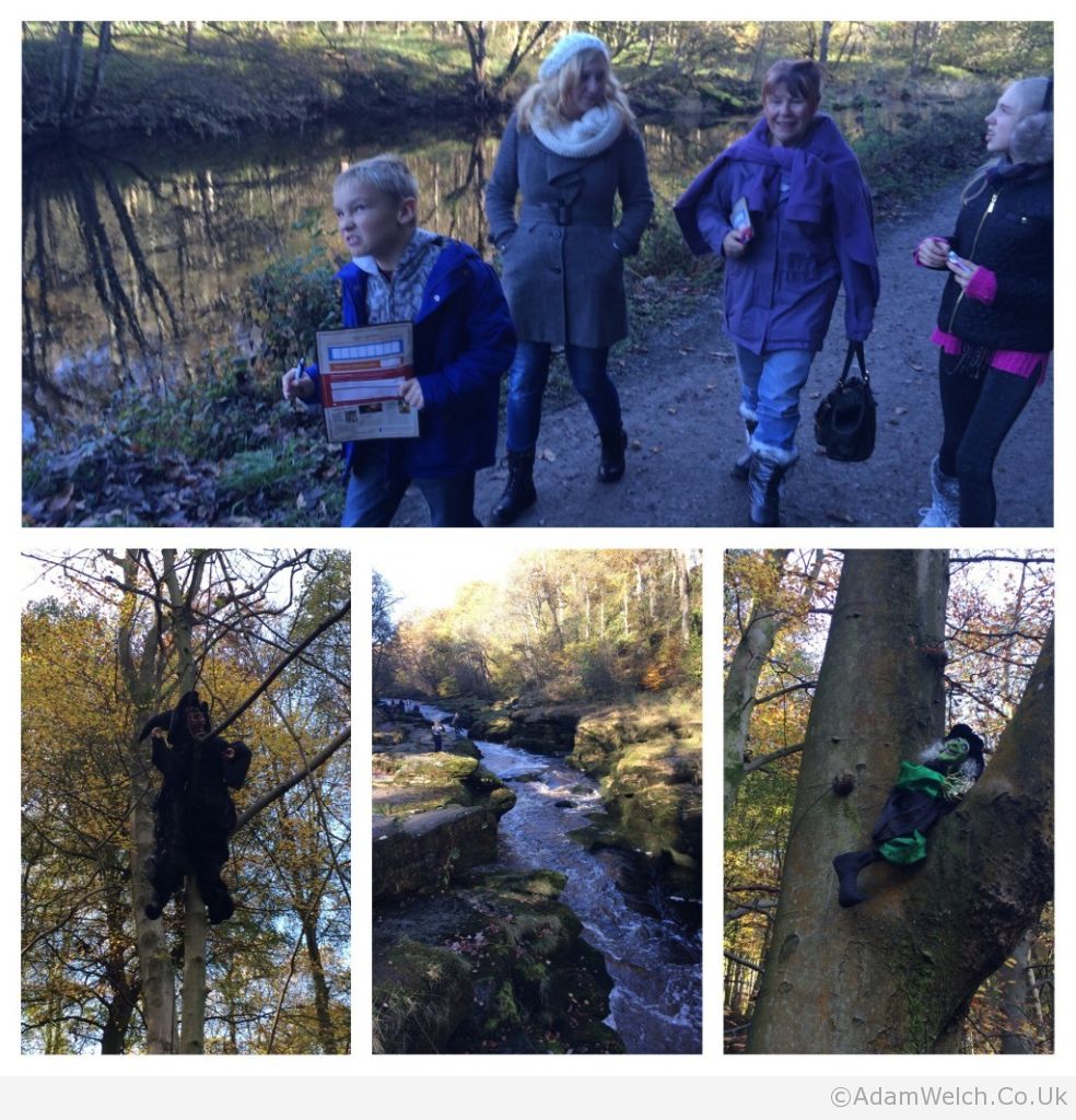 Lovely morning walk up the River Wharfe at @boltonabbey's pumpkin trail.