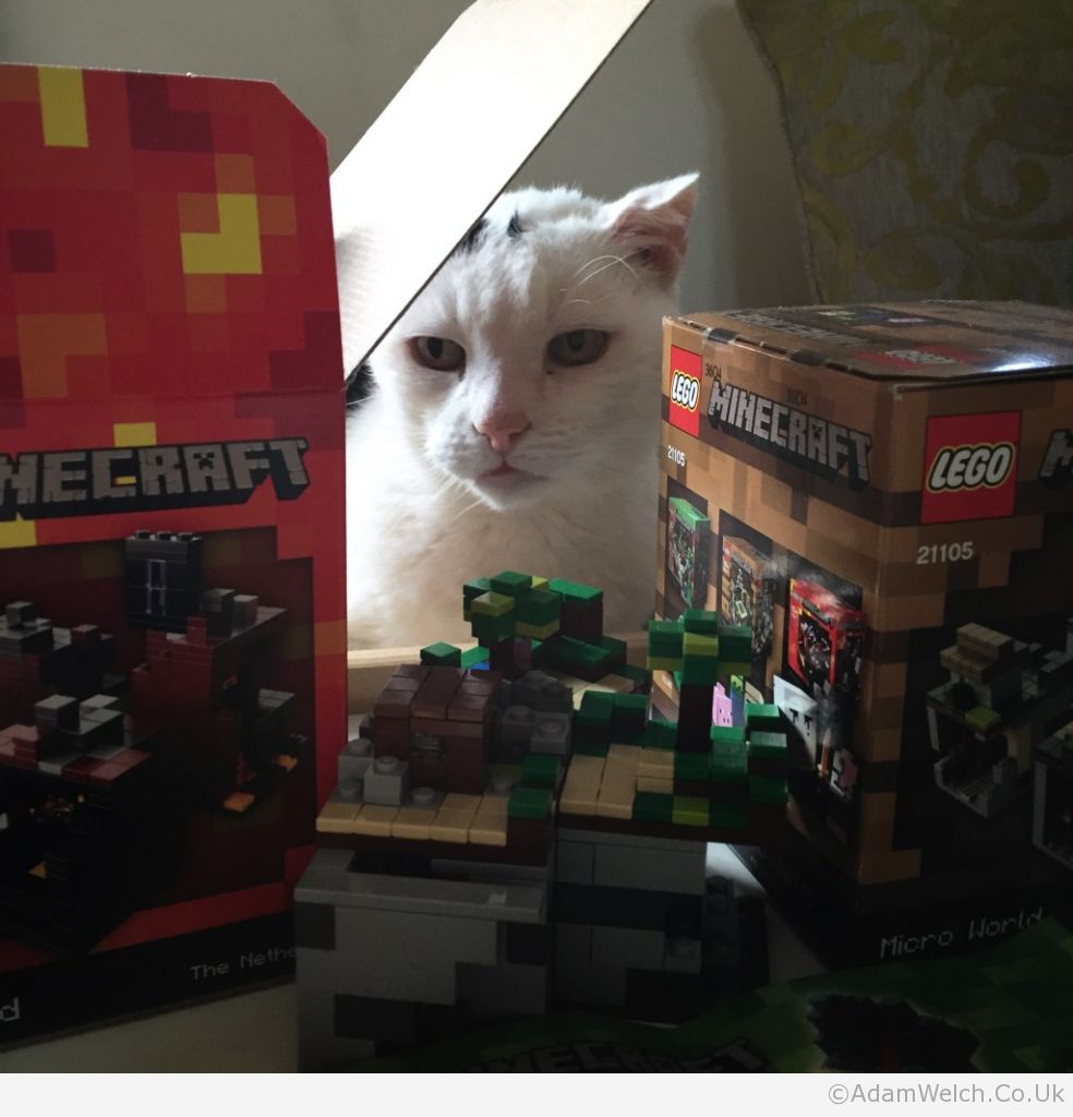 Loving the Minecraft Lego.